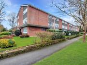 3 bedroom apartment to rent