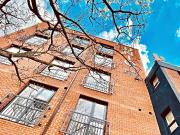 3 bedroom apartment to rent