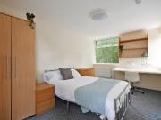 3 bedroom apartment to rent