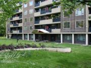 3 bedroom apartment to rent