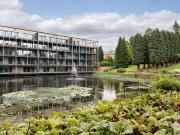 3 bedroom apartment to rent