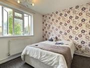 3 bedroom apartment to rent