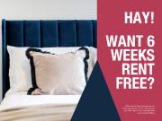 3 bedroom apartment to rent