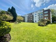 3 bedroom apartment to rent