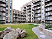 3 bedroom apartment to rent