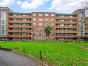 3 bedroom apartment to rent
