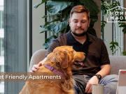 3 bedroom apartment to rent