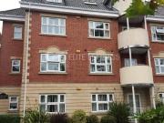 3 bedroom apartment to rent