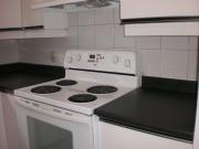 3 Bedroom Apt. downtown Ottawa