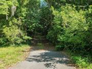3 bedroom, Charleston SC 29412 90904149