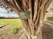 3 bedroom detached bungalow to rent