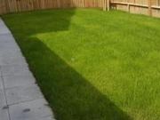 3 bedroom detached house to rent