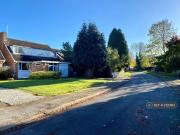 3 bedroom detached house to rent