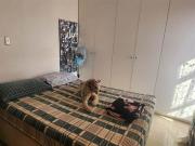 3 Bedroom Duplex in Avoca