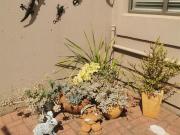 3 Bedroom Duplex in Edenvale