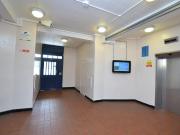 3 Bedroom Flat House to Rent