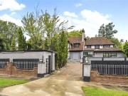 3 bedroom flat to rent