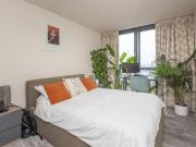 3 bedroom flat to rent
