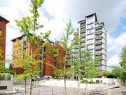 3 bedroom flat to rent