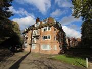 3 bedroom flat to rent