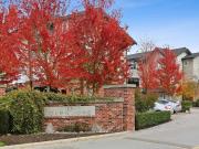 3 Bedroom Home for Rent at 2450 161A Street #11, Surrey,...