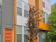 3 Bedroom Home for Rent at 5005 40th Ave Ne #A, Seattle,...