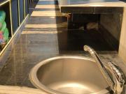 3 Bedroom House for rent in Florida County, Keshav...