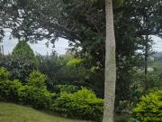 3 Bedroom House For Sale in Hillary