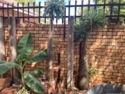 3 Bedroom House in Rustenburg Central