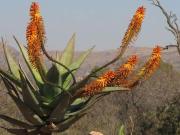 3 Bedroom House in Cashan