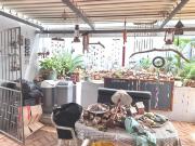 3 Bedroom House in Mountain View