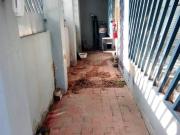 3 Bedroom House in Newlands