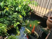 3 Bedroom House in Safari Gardens