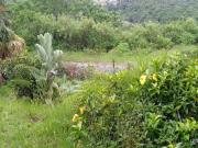 3 Bedroom House in Shallcross