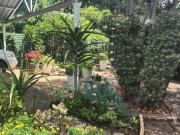 3 Bedroom House in Villieria