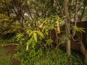 3 Bedroom House in Witbank Central