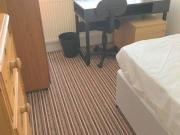 3 bedroom house share to rent