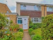 3 bedroom house to rent