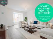 3 bedroom house to rent