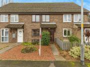 3 bedroom house to rent