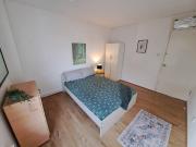 3 bedroom house share to rent