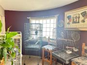 3 Bedroom House To Rent in Primrose