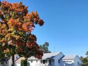 3 bedroom, Lansing MI 48910 95861428