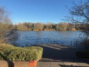 3 bedroom link detached house for rent in Houghton...