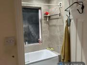 3 bedroom semi detached house for rent in Broomgrove...