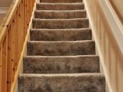 3 bedroom semi detached house for rent in Padstow...