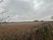 3 bedroom semi detached house for sale in Wellands...