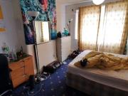 3 bedroom semi detached house to rent 3 bedroom semi detached house to rent