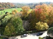 3 Bedroom Shared Living/roommate Toronto ON 89281689