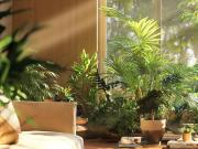 3 bedroom, ST KILDA VIC 3182 79545712